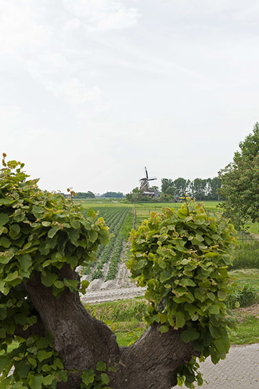 uitzicht 2