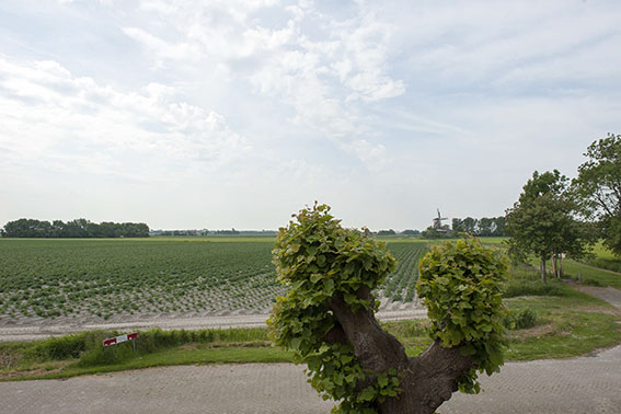 uitzicht 2