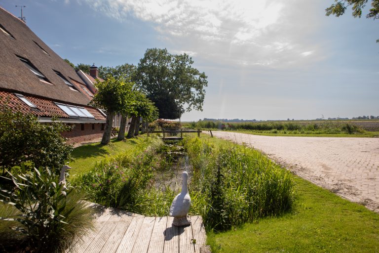 Fiets- en wandelpad naar de dijk